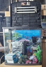 Large fish tank for sale  CROYDON