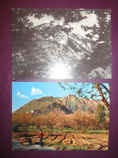 Cartoline campania avellino usato  Italia