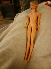 Standard ash blonde for sale  Leesburg