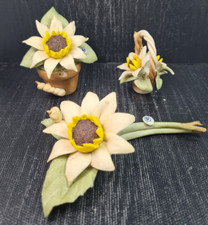 Capodimonte set oggetti usato  Afragola