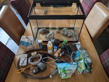 Large modern fish for sale  WORKSOP