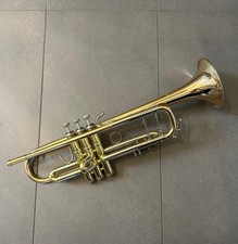 3137g challenger bb gebraucht kaufen  Augsburg