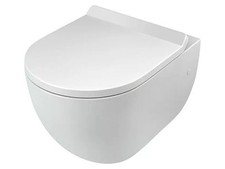 Hängetoilette rom hne gebraucht kaufen  Zittau