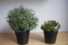 fejka ikea kunstblume gebraucht kaufen fejka ikea kunstblume gebraucht kaufen Deutschland