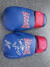 Boxhandschuhe handsigniert sve gebraucht kaufen  Heek