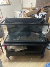 Gallon glass fish for sale  Gresham