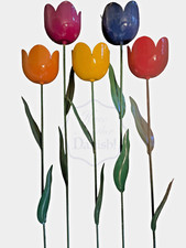Set colorful tulip for sale  Highland Park