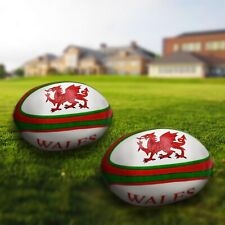 Palline rugby gallese usato  Spedire a Italy