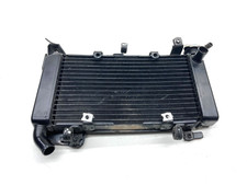 Radiatore radiator acqua usato  Frattaminore
