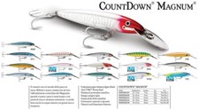 Artificiale rapala magnum usato  Vibo Valentia