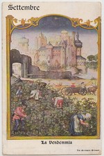 Cartolina augurale illustrata usato  Vicenza