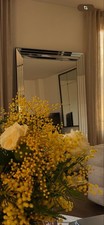Grand miroir maison d'occasion  Argenteuil