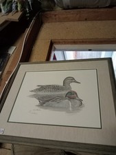 Wildfowling pencil sketch for sale  SITTINGBOURNE