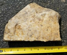Two jurassic dinosaur for sale  Morristown