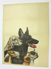Affiche ancienne 1902 d'occasion  Saint-Paul-Cap-de-Joux