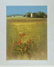 Agostino cancogni 50x40 usato  Teramo