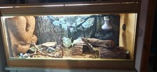 bearded dragon set up for sale bearded dragon set up for sale LONDON
