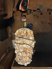 Ocean seashell lamp for sale  Dayton