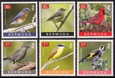 Bermuda 2023 birds d'occasion  Expédié en Belgium
