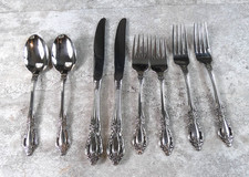 Oneida raphael stainless for sale  Marion