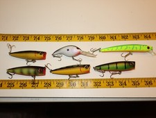 6 iscas especiais de pesca para torneio Bass Pro Shops comprar usado  Enviando para Brazil