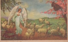 Carrtolina augurale buona usato  Bologna