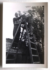 escabeau bois ancien d'occasion escabeau bois ancien d'occasion Rouen-