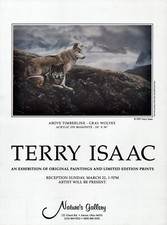 1992 terry isaac for sale  Dallas