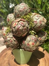 Artificial artichoke decorativ for sale  Waterford