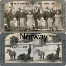 Stereoviews norway norwegen gebraucht kaufen  Dortmund