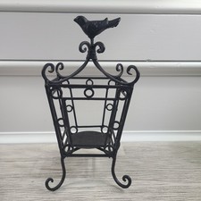 Bird cage plant for sale  Loganville