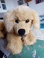 Kösen golden retriever gebraucht kaufen  Bremen