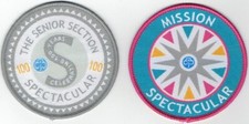 Girl guide badges for sale  CAMBRIDGE
