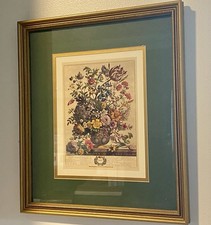 Robert furber botanical for sale  Wilmington