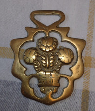 Prince wales plumes for sale  HOUGHTON LE SPRING