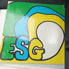 Esg esg moody usato  Zenson di Piave