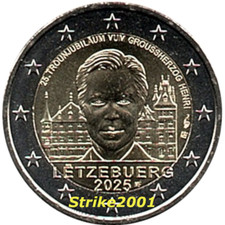 New euro commemorativo usato  Biella