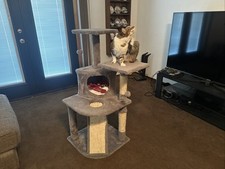Cat tree 44inch for sale  Lemoore