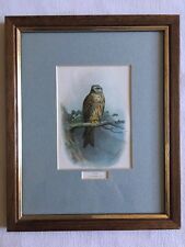 Antique lithograph kite for sale  HAVERHILL