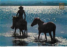 Animaux chevaux balade d'occasion  Fruges