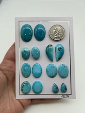 Pair turquoise cabochons for sale  Schaumburg