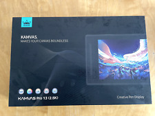 Tablet gráfico - Huion Kamvas Pro 13 (2.5K) GT1302 tela com caneta comprar usado  Enviando para Brazil