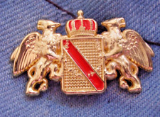 Pin baden großherzogtum gebraucht kaufen  Dallgow
