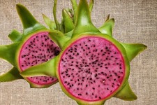 Pink dragonfruit edgar for sale  Winter Garden