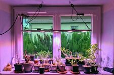 Rail led horticole d'occasion  Langres