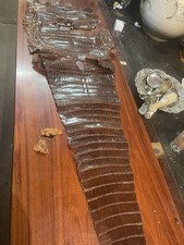 Crocodile skin for sale  LIVERPOOL