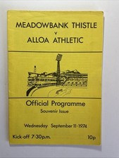 Meadowbank thistle alloa for sale  DUNDEE