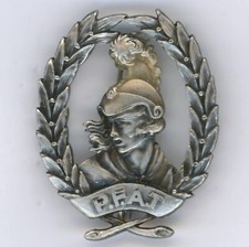 Insigne béret pfat d'occasion  La Queue-les-Yvelines