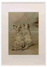 Earl maud 1864 gebraucht kaufen  Versand nach Germany