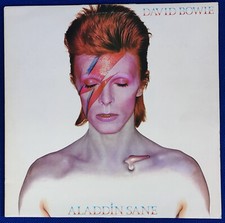 David bowie aladdin usato  Roma